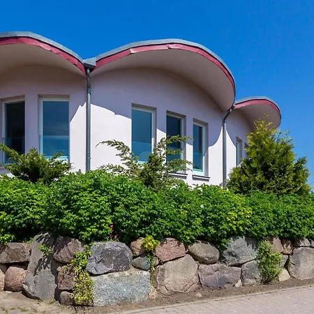 Muschel 1 Ahrenshoop