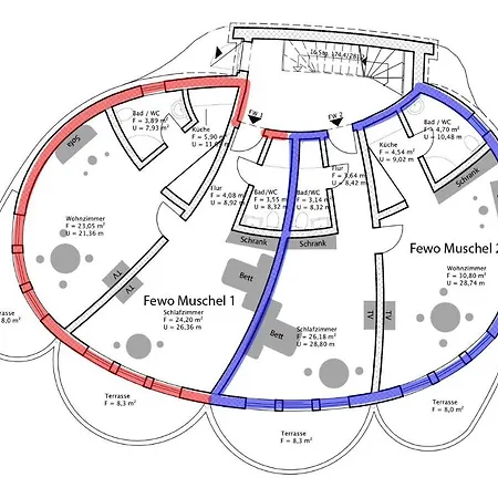 Muschel 1 Ahrenshoop