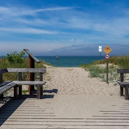 Muschel 1 * Ahrenshoop